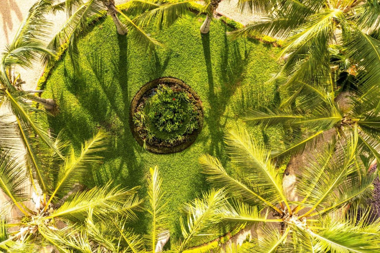Resort Turaco